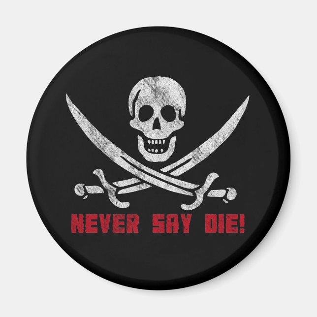 Skull and Crossbones Magnet (Front)