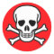 Skull and Crossbones Pirate
