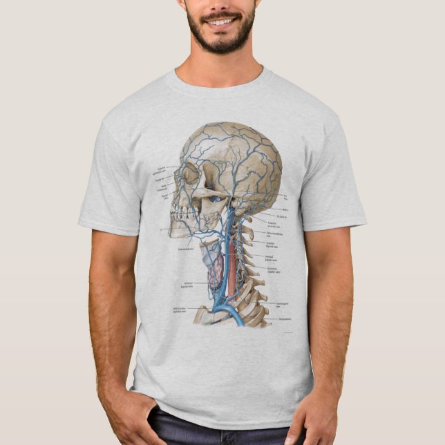 Skull and Spine Anatomy grey fitted mens tshirt (Front)