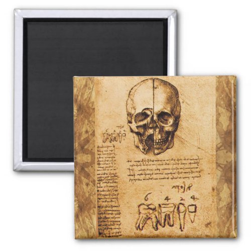 SKULL AND TEETH DENTAL CLINIC DENTIST Parchment Magnet