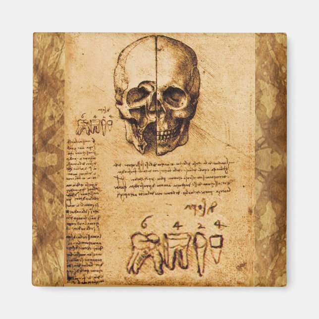 SKULL AND TEETH ,DENTAL CLINIC ,DENTIST Parchment Magnet (Front)