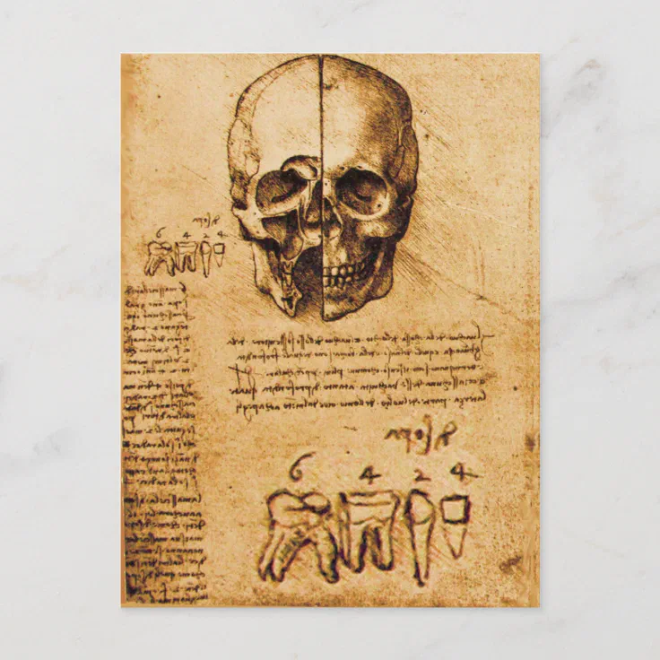 SKULL AND TEETH ,DENTAL CLINIC ,DENTIST Parchment Postcard Zazzle