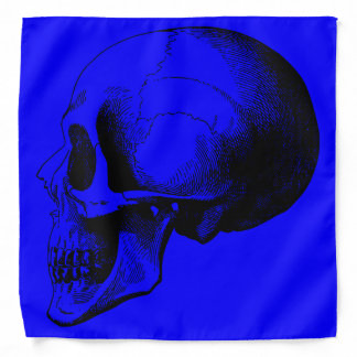 Skull Bandana,Blue Bandana