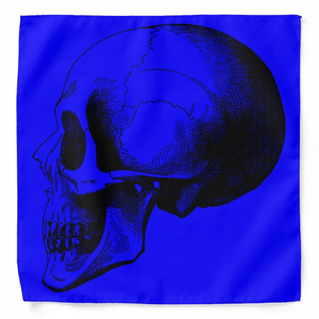 Skull Bandana,Blue Bandana (Front)