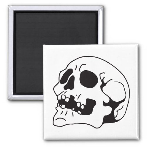 Skull Bone Art Magnet