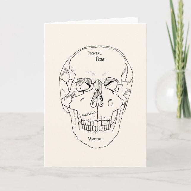 Skull Bones - Labeled Card (Front)