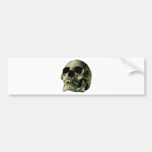 Skull Bumper Sticker