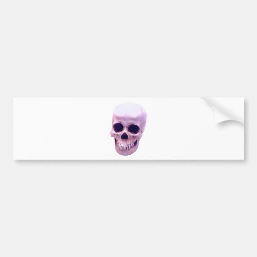 Skull Bumper Sticker