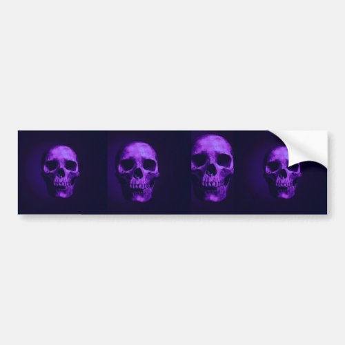 Skull Bumper Sticker