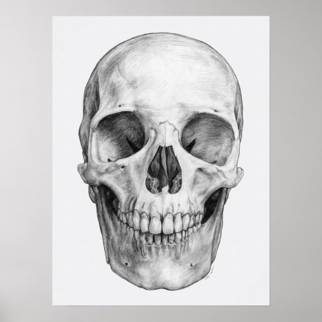 Skull by Artist Adesina Poster (Front)