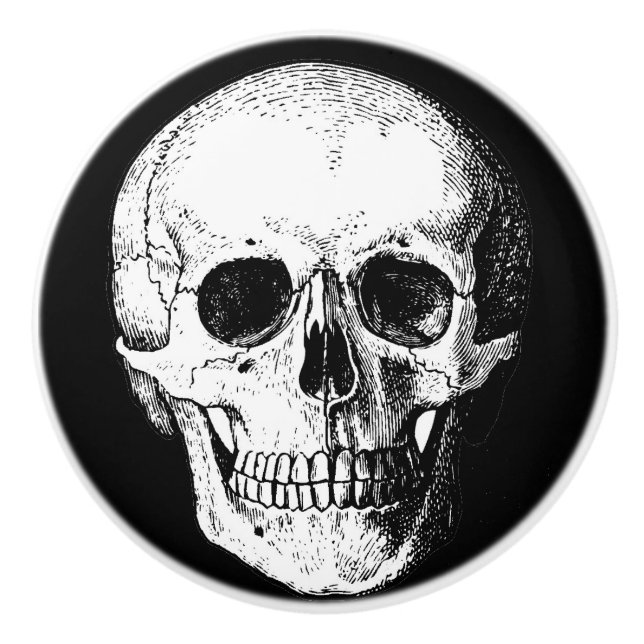 Skull cabinet/furniture knobs (Front)