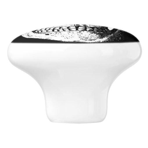 Skull knobs Zazzle