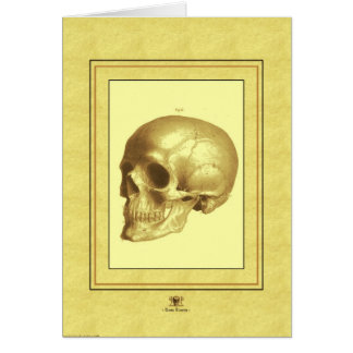 "Skull" Cards