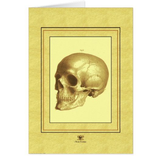 "Skull" Cards (Front)
