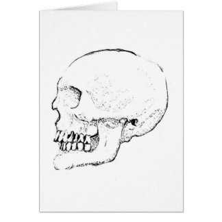 Skull Cards