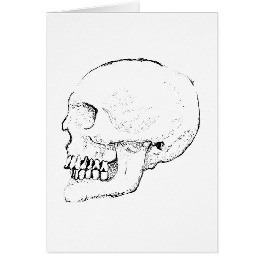Skull Cards (Front)