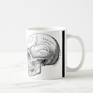 Skull coffee/tea mug