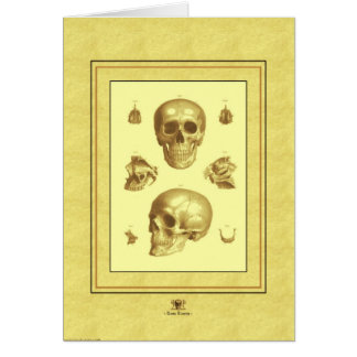 "Skull Collection" Cards