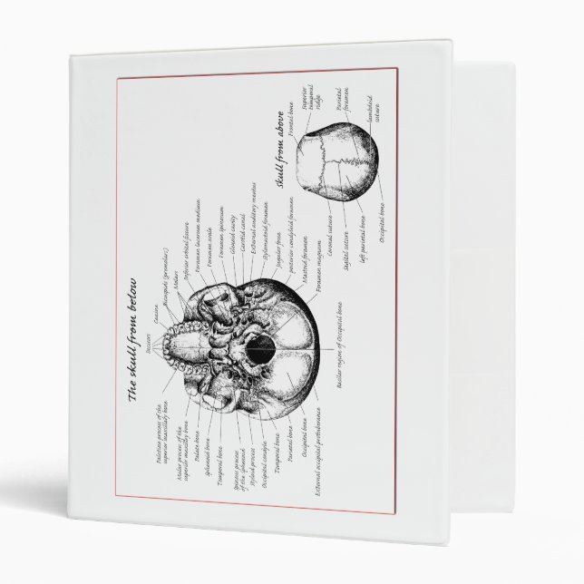 Skull details above and below 3 ring binder (Front/Inside)
