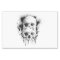 Skull Drip Black Ink Graphic Party