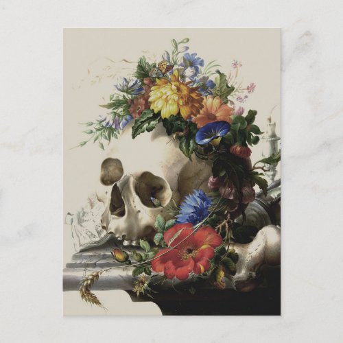 Skull Flower Floral Vintage Illustration Postcard