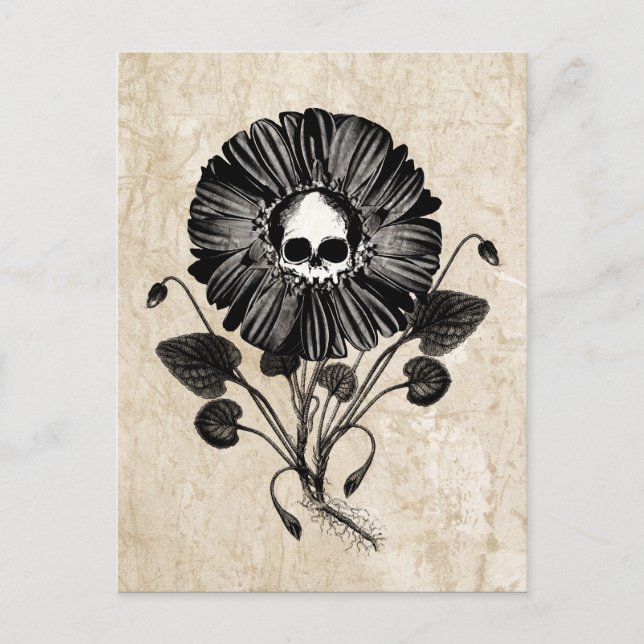 Skull Flower Postcard (Front)