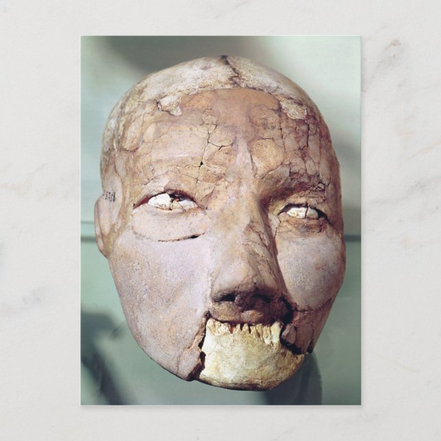 Skull, from Jericho, 7000-6000 BC Postcard (Front)