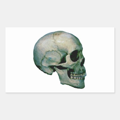 Skull From Profile Rectangular Sticker