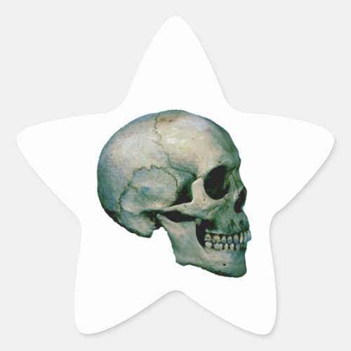 Skull From Profile Star Sticker