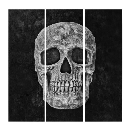 Skull Gothic Grunge Texture Black And White Old Triptych