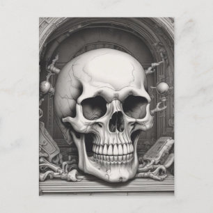 Skull Illustration Postcard