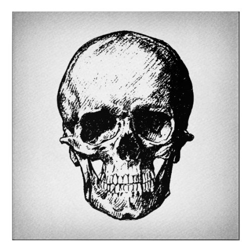 Skull Illustration Vintage Art