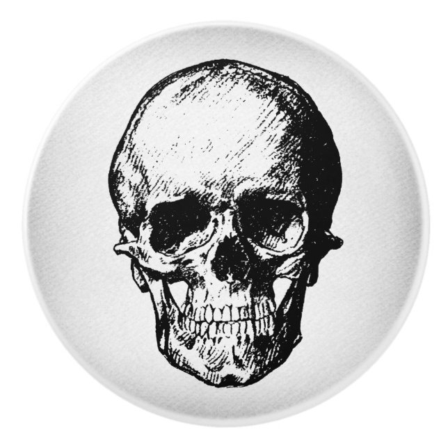 Skull Illustration Vintage Art Ceramic Knob (Front)