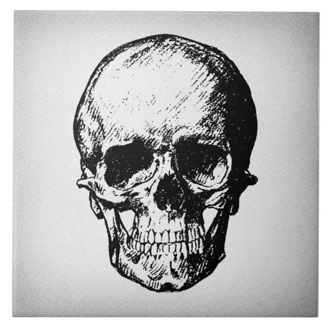 Skull Illustration Vintage Art Ceramic Tile (Front)