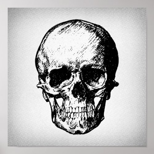 Skull Illustration Vintage Art Poster