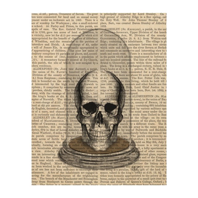 Skull In Bell Jar Wood Wall Decor (Front)