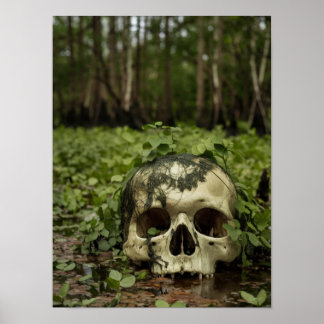 Skull in the Swamp Horror Print Poster Wall Art