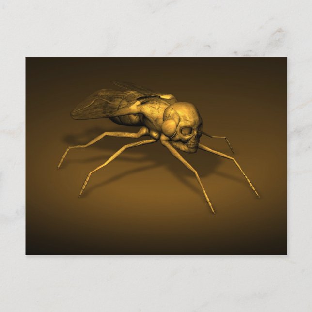 Skull Insect Postcard (Front)