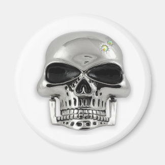 skull magnet
