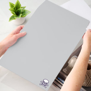 Skull n Bones gray large shipping envelope mailers