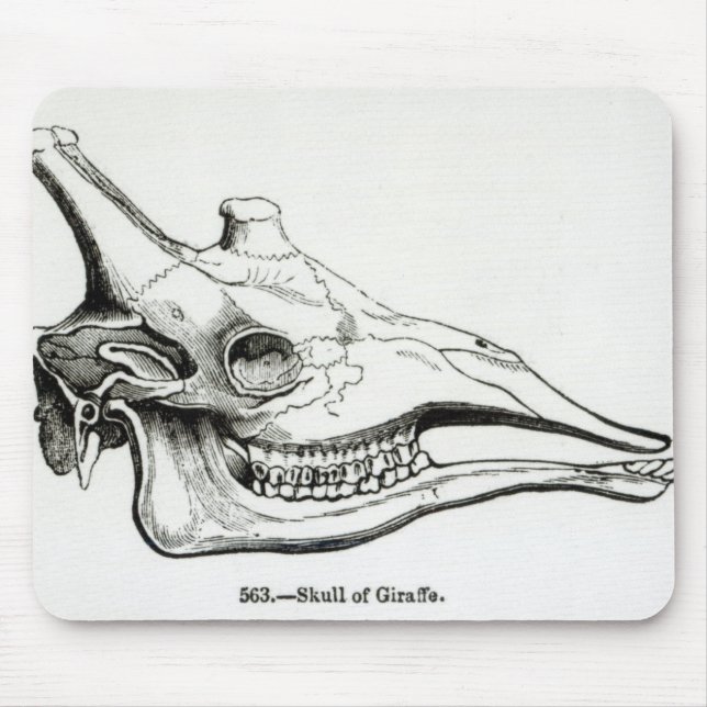 Skull of a Giraffe Mouse Pad (Front)