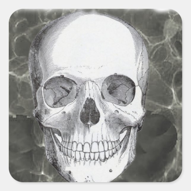 Skull on black square sticker (Front)