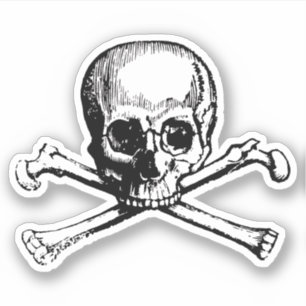 Skull pirate sticker