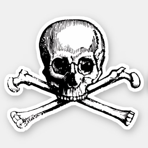Skull pirate sticker