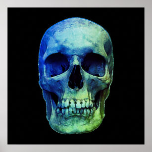 Skull Pop Art Blue Black Poster