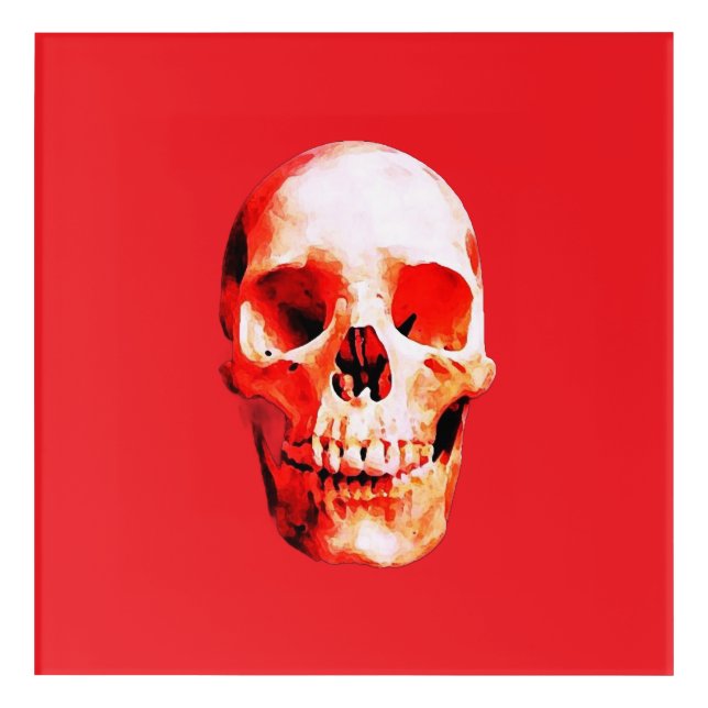 Skull Pop Art Illustration Wall Acrylic (Front)