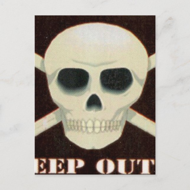 SKULL POSTCARD (Front)