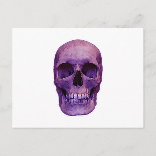 Skull Postcard