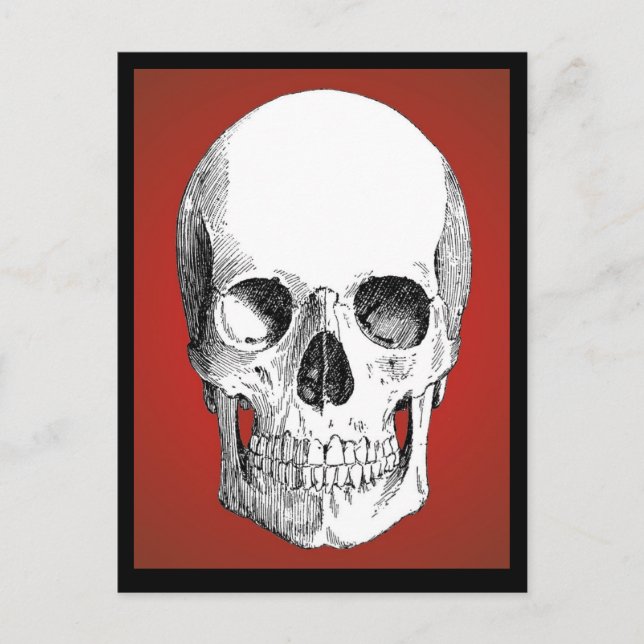 Skull Postcard (Red) (Front)