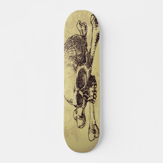 Skull Skateboard Deck (Front)